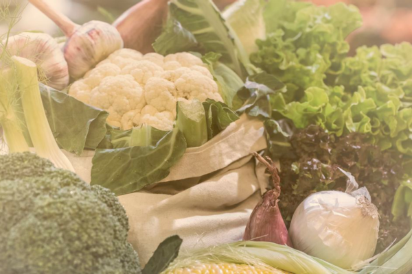 Consumir vegetais ajuda a prevenir câncer?
